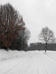 Guevenatten_hiver_11.jpg