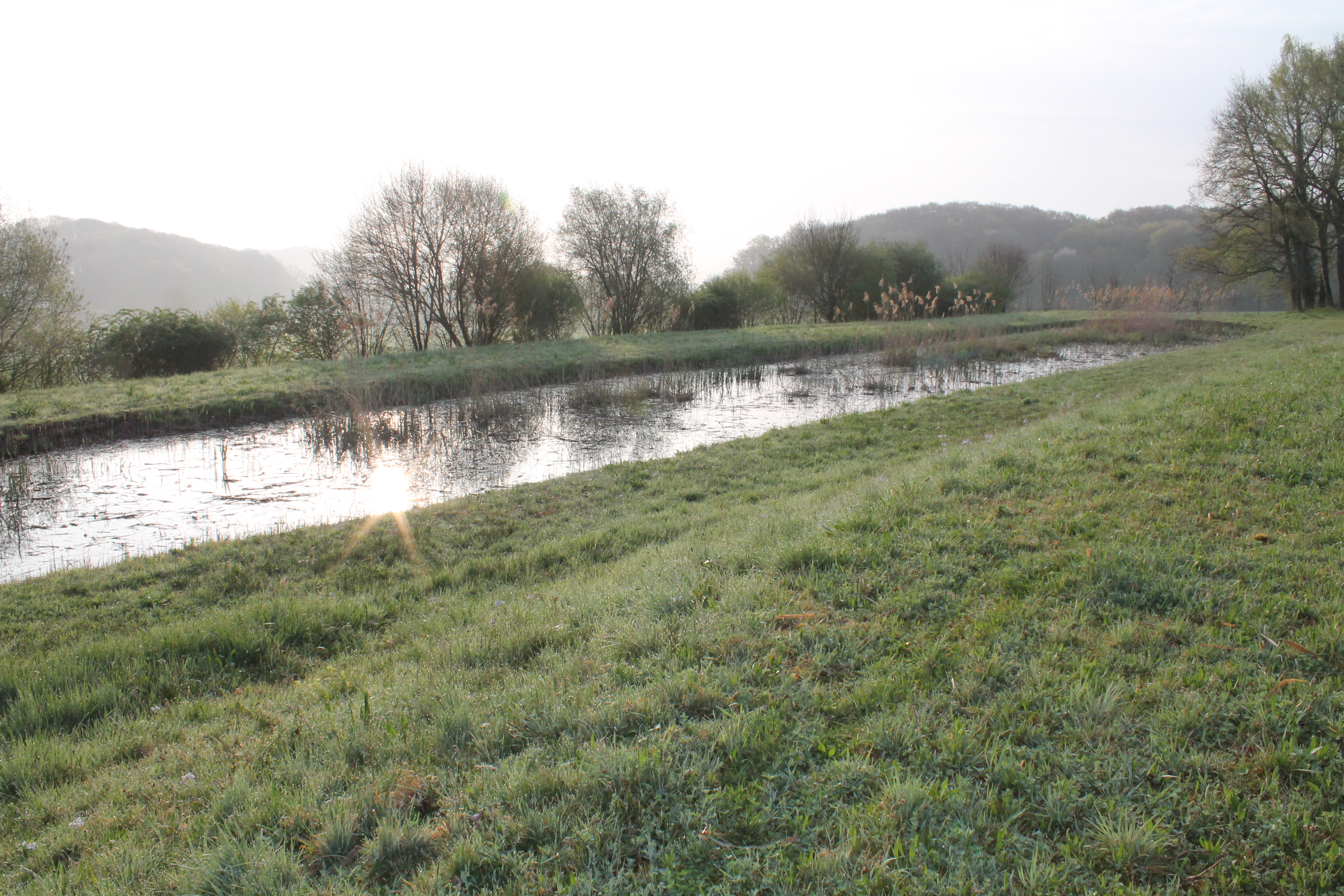 Photo de l'assainissement des eaux usées par lagunage à Guevenatten : la lagune tertiaire