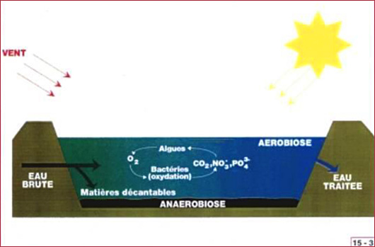 shéma du principe de fonctionnement de l'assainissement des eaux usées par lagunage