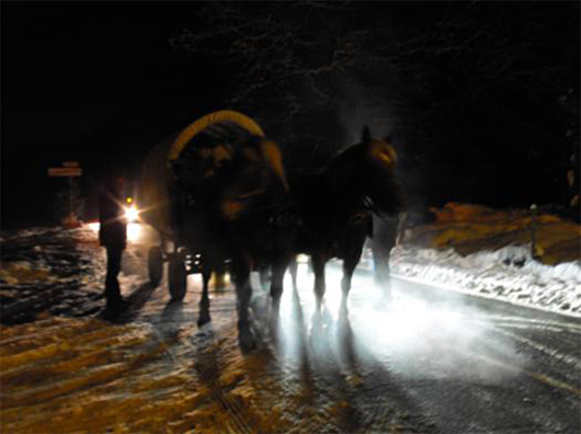 photo de la Fête de la Saint-Nicolas à Guevenatten