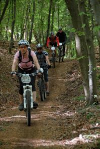 photo d'une famille en vtt dans la forêt